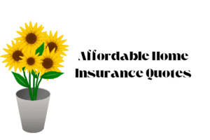 Affordable Home Insurance Quotes