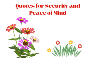 Quotes for Security and Peace of Mind