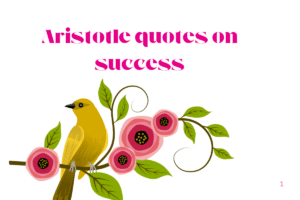 Aristotle quotes on success