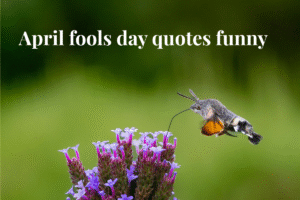 April fools day quotes funny