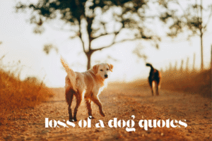loss of a dog quotes