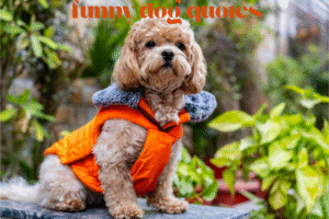 funny dog quotes