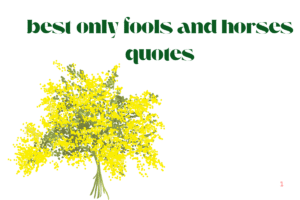 best only fools and horses quotes