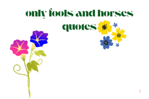 only fools and horses quotes