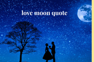 love moon quote