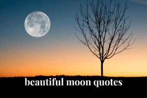 beautiful moon quotes
