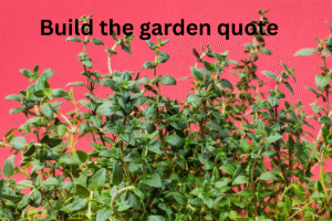 Build the garden quote