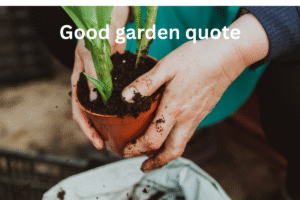 good garden quote