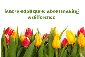 jane Goodall quote about making a difference