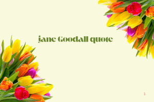 jane Goodall quote