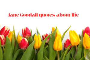 jane Goodall quotes about life