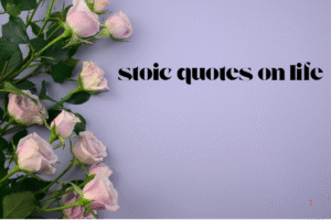 stoic quotes on life