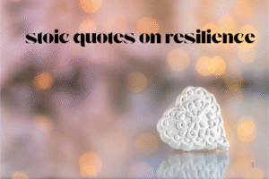 stoic quotes on resilience