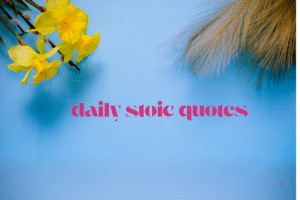 daily stoic quotes