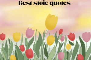 Best stoic quotes