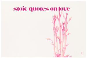 stoic quotes on love