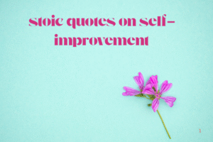 stoic quotes on self-improvement