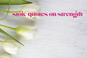 stoic quotes on strength