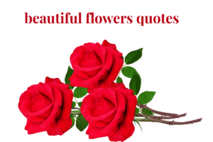 beautiful flowers quotes