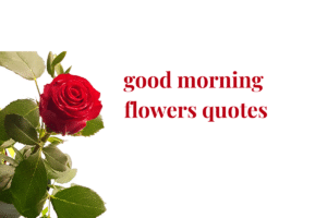 good morning flowers quotes