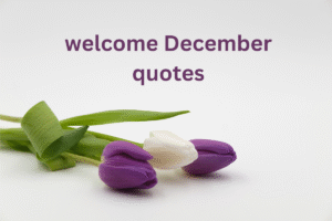 welcome December quotes