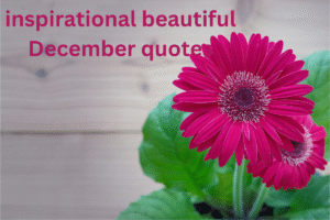 inspirational beautiful December quotes