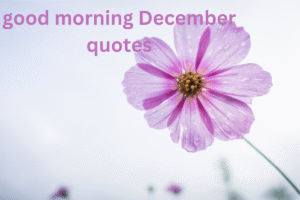 good morning December quotes
