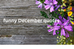 funny December quotes
