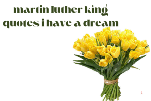 martin luther king quotes i have a dream