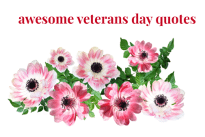 awesome veterans day quotes