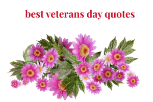 best veterans day quotes
