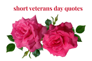 short veterans day quotes
