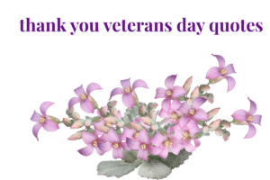 thank you veterans day quotes