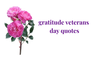gratitude veterans day quotes