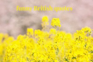 funny British quotes
