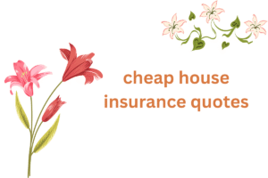 cheap house insurance quotes