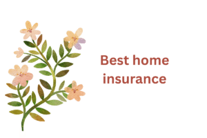 Best home insurance 