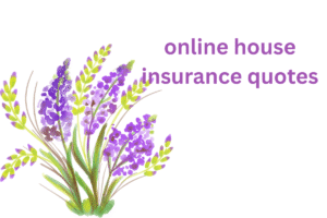 online house insurance quotes