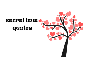secret love quotes