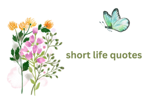 short life quotes