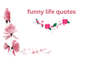 funny life quotes