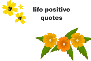 life positive quotes